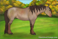 Horse Color:Liver Red Dun Rabicano 