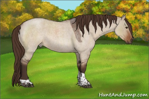 Horse Color:Liver Red Dun Roan Tobiano Rabicano 