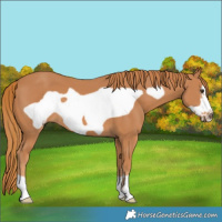 Horse Color:Chestnut Frame
