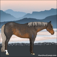 Horse Color:Silver Smoky Blue Roan 