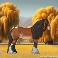 Horse Color:Buckskin Tobiano Rabicano