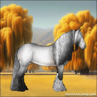 Horse Color:Gray Brown Tobiano Rabicano 
