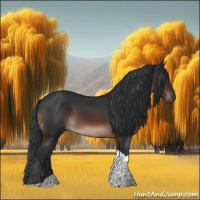 Horse Color:Brown Tobiano Rabicano 