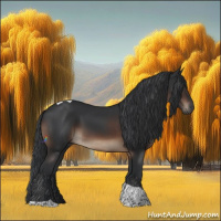 Horse Color:Brown Tobiano Rabicano 