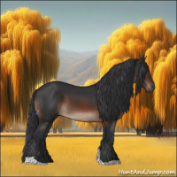 Horse Color:Brown Tobiano Rabicano