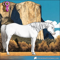 Horse Color:White Spotted Liver Chestnut Sabino Appaloosa 