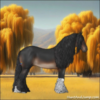 Horse Color:Brown Tobiano Rabicano