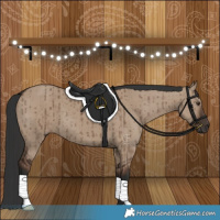 Horse Color:Liver Red Dun Brindle 