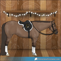 Horse Color:Liver Red Dun 