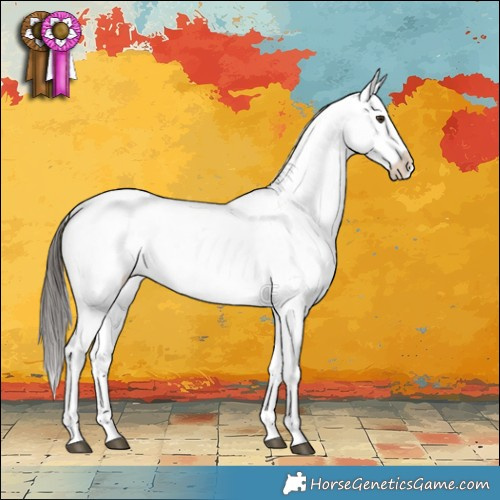 Horse Color:Liver Red Dun Appaloosa Brindle 