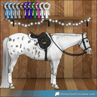 Horse Color:Grullo Varnish Brindle 