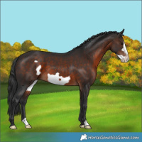 Horse Color:Brown Frame 