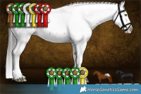 Horse Color:Liver Red Roan Tobiano Appaloosa 