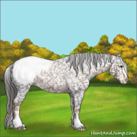 Horse Color:Liver Red Roan Sabino Snowcap 