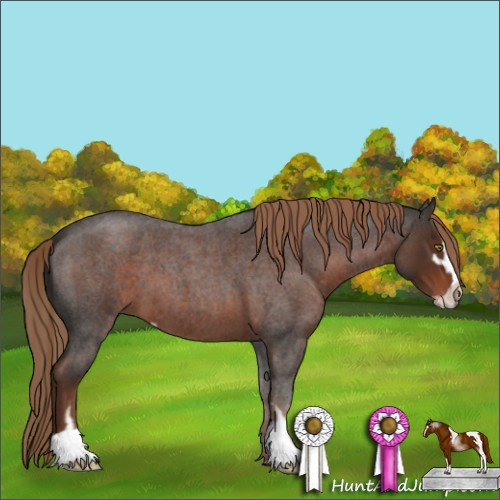Horse Color:Liver Red Roan Sabino 