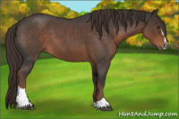 Horse Color:Liver Red Roan Sabino 
