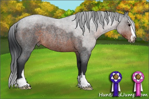 Horse Color:Brown Roan Sabino Rabicano 