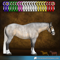Horse Color:Silver Buckskin Roan Sabino