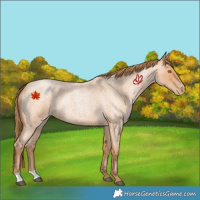 Horse Color:Bay Roan Pearl 