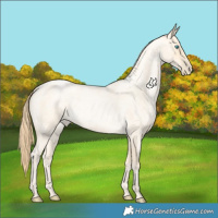 Horse Color:Buckskin Roan Pearl 