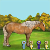 Horse Color:Chocolate Palomino Roan 