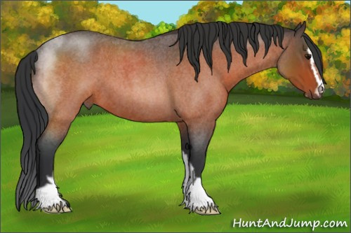 Horse Color:Bay Roan Sabino 