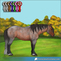Horse Color:Brown Roan 