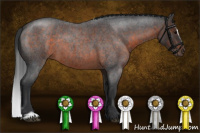 Horse Color:Brown Roan Sabino