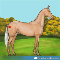Horse Color:Silver Bay Pearl 