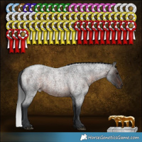 Horse Color:Brown Roan 