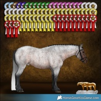 Horse Color:Brown Roan