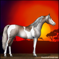 Horse Color:Gray Silver Black Pearl Tobiano 