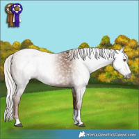 Horse Color:Gray Silver Black Pearl Tobiano 