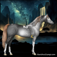 Horse Color:Gray Liver Chestnut Tobiano