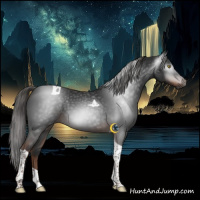 Horse Color:Gray Liver Chestnut Tobiano 