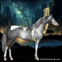 Horse Color:Gray Liver Chestnut Tobiano 