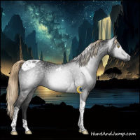 Horse Color:Gray Liver Chestnut Tobiano