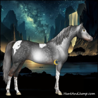 Horse Color:Gray Liver Chestnut Tobiano