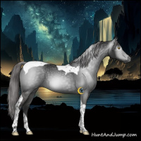 Horse Color:Gray Liver Chestnut Tobiano