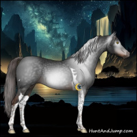 Horse Color:Gray Liver Chestnut Tobiano 