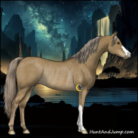Horse Color:Chocolate Palomino Dun Rabicano 