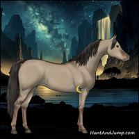 Horse Color:Liver Red Dun Rabicano 