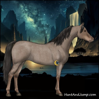 Horse Color:Liver Red Dun Roan Rabicano 