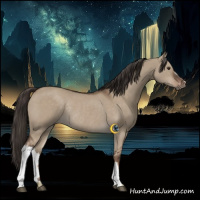 Horse Color:Liver Red Dun Rabicano 