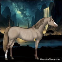 Horse Color:Liver Red Dun Rabicano 