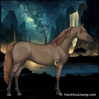 Horse Color:Liver Red Dun Rabicano 