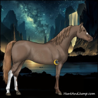 Horse Color:Liver Red Dun Rabicano