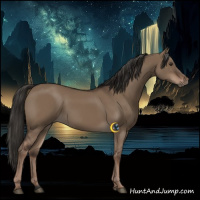 Horse Color:Liver Red Dun Rabicano 