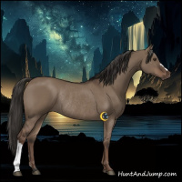 Horse Color:Liver Red Dun Rabicano 
