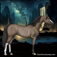 Horse Color:Liver Red Dun Rabicano 